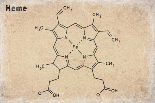 Heme molecule Structural chemical formula