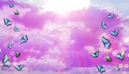 Naklejka premium Butterflies flying against pink clouds in sky