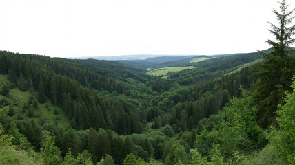 Fototapeta premium Lush Green Mountain Valley with Dense Pine Forest and Rolling Hills Under Overcast Sky for Nature Travel and Environment Conservation