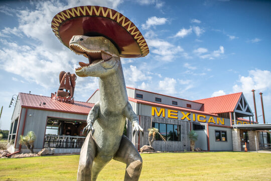 Realistic Metal Statue of Velociraptor Dinosaur Wearing Sombrero Hat in Front of Mexican Restaurant in Mansfield, Texas