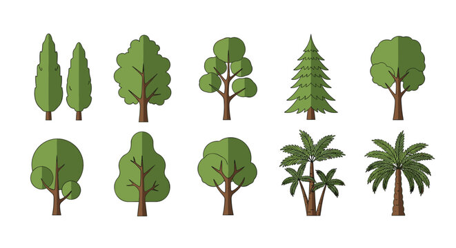 Diverse collection of different tree types including pine palm and deciduous trees shown in a flat vector style.