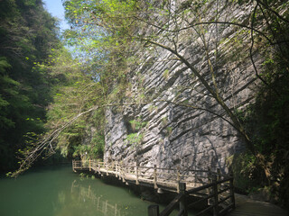 Footpath by the cliff edge along the Shenquan River in Zhangjiajie Grand Canyon narrow gorge