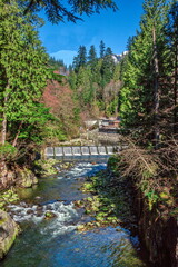 A small dam on the Capilano River in Capilano River Regional Park in North Vancouver. The mountain stream is surrounded by dense green forest on the background of blue sky