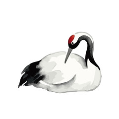 Fototapeta premium Hand drawn watercolor crane illustration, elegant Japanese red-crowned crane for celebration／鶴