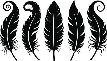 Set of elegant black feather silhouettes with swirling ornate designs, isolated vector illustrations of bird plumes in various stylish shapes for decorative projects. © It's Raju