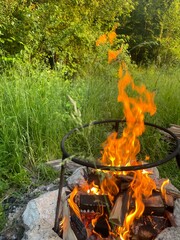 campfire in the forest © Domnikiya