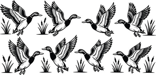 Flying duck and goose silhouettes vector set with wild waterfowl birds illustration collection © Rubya