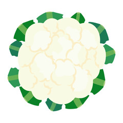 カリフラワーのベクターアイコン、葉物野菜のイラスト素材