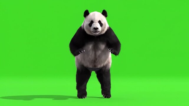 A realistic 3D render of a giant panda standing upright on a green screen background, with its paws held out slightly.