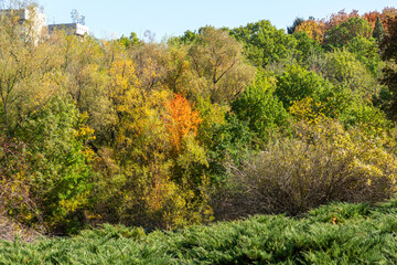 Autumn Landscape of South Park in city of Sofia, Bulgaria