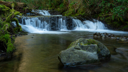 Obraz premium Waterfall in Forest