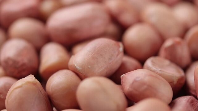 Pile of raw peanuts rotating slowly. Close-up view