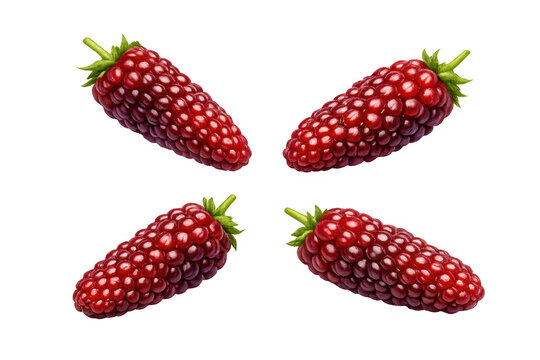 Fresh tayberry fruits isolated on transparent background