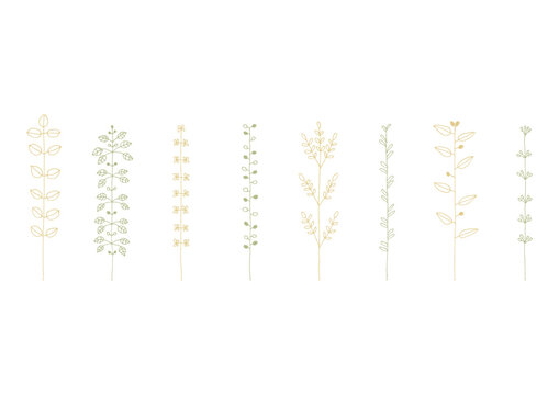 マメやカタバミ等の植物をイメージした手描きの線画イラストセット1（黄色と緑）