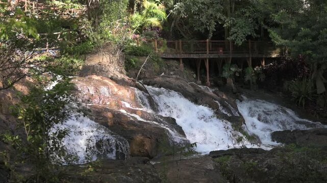 Datanla, Vietnam, Da Lat Lush Waterfall Cascades Over Mossy Rocks, Sunlit Rainforest, Wooden Walkway Above, Gentle Mist, SlowMotion Flow, Eco Guide Leading Hikers, Morning Light, Peaceful