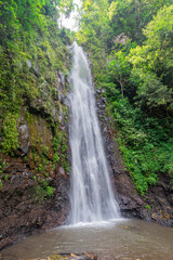 Fototapeta premium A tall tropical waterfall cascading into a natural stone basin surrounded by dense rainforest foliage on São Tomé Island, São Tomé and Príncipe