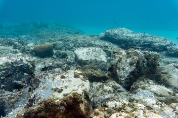Fototapeta premium Sunlight refracting through clear water onto a seabed of smooth volcanic rocks and stones on Príncipe Island, São Tomé and Príncipe.
