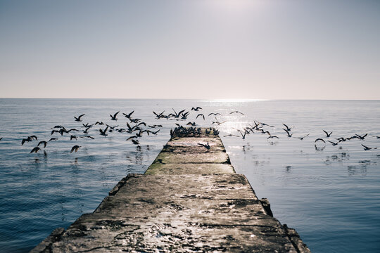 Odessa pier