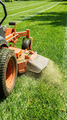 Obraz premium A lawn mower is cutting the grass