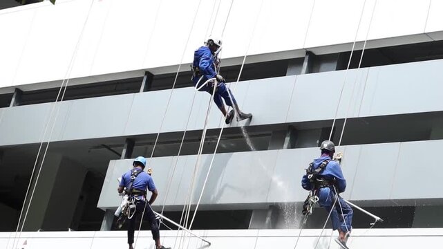 Professional window cleaners rappelling down modern building facade washing windows with water spray