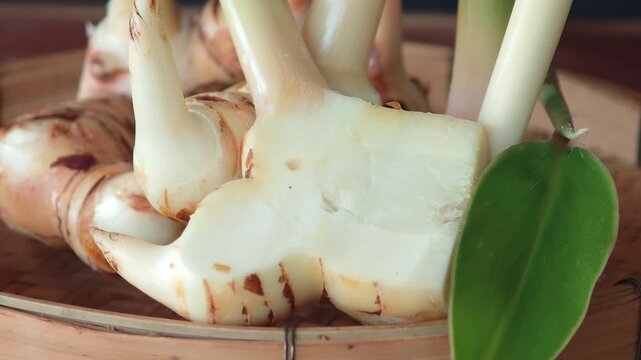 Galangal is a household herb.