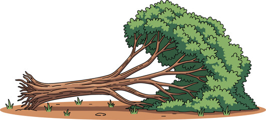 Flat vector illustration of a large green deciduous tree fallen on the ground with exposed roots after a storm or environmental disaster. © MdEmdadul
