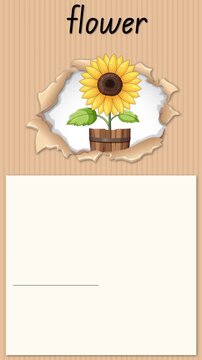 Educational Alphabet Animation Teaching the Letter F with a Sunflower Illustration