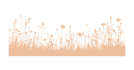 Variety of botanical grass and flower silhouettes, clean white backdrop.