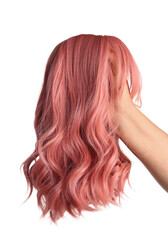Fototapeta premium Female hand with pink wig isolated on white background