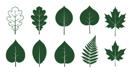 Collection of various green leaf shapes and types for design and nature concepts, Generative AI.