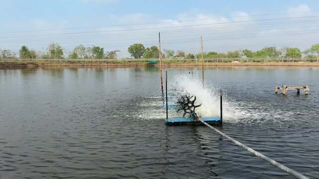The water pump is working in the fish pond.

