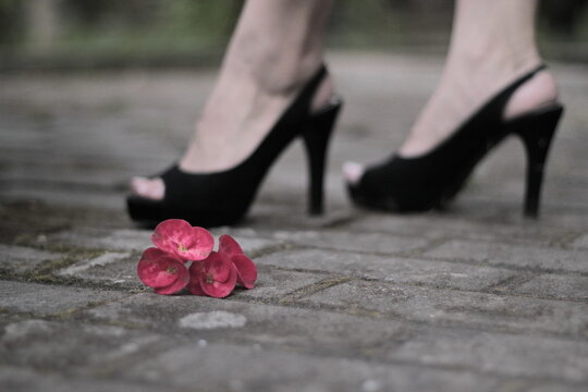 a small flower, with blurred background of lady's feet wearing black heels