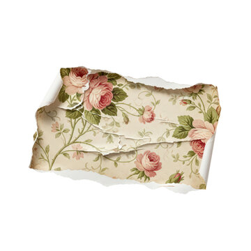 Torn piece of vintage floral wallpaper with rose pattern