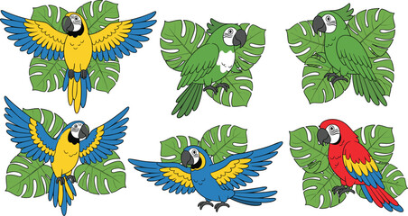 Colorful tropical parrots and macaws flying with monstera leaves exotic jungle birds vector illustration collection © Kharshad Creative