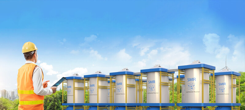 Engineer or work at small modular nuclear reactors power plant