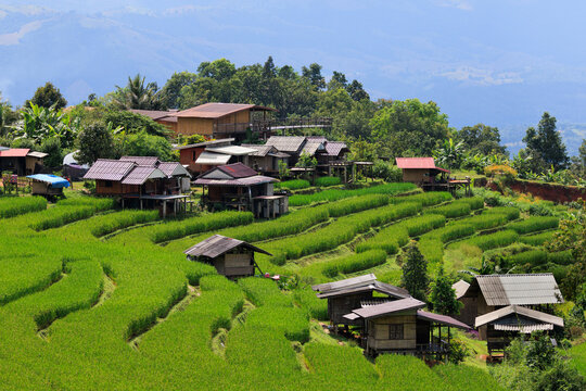 Village houses among lush rice terraces in Mae Chaem