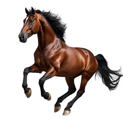 Majestic Brown Horse Galloping Freely Isolated on White Background