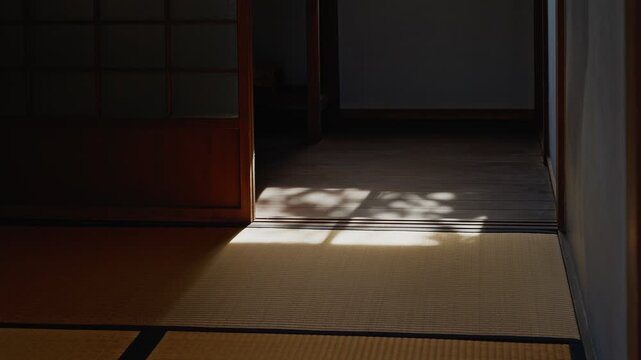A peaceful interior shot showing natural light and tree shadows (Komorebi) through a shoji screen onto a tatami floor in a historic Japanese house.