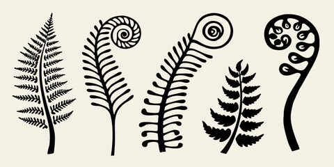 Stylized black and white illustration of various fern fronds and spirals © Tithi