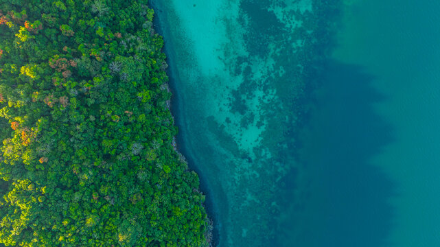 Aerial view of a dense, vibrant green coastal jungle meeting dark blue ocean water. A thin, rocky beach and white foamy waves separate the rugged terrain from the sea.concept nature	