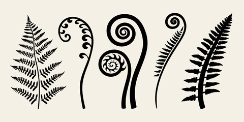 Black fern fronds and koru spirals depicted in a minimalist style © Ganesh