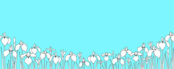 花菖蒲が咲きほこる背景　バナーテンプレート