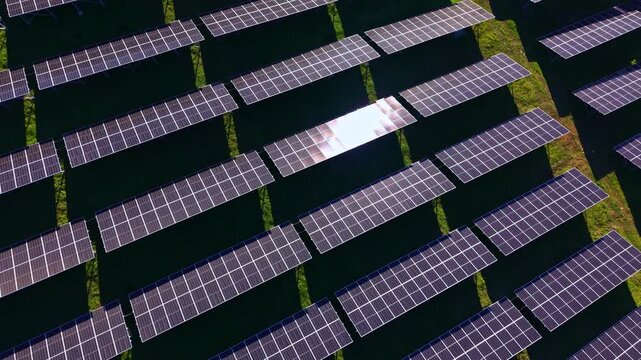 Large arrays of solar panels are arranged in neat rows across a wide green field. The panels capture sunlight and convert it into energy. This setup is seen during daytime.