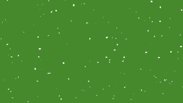  Realistic White Cherry blossom petals falling particle animation. sakura petals drifting green screen, autumn leaves falling animation. Glowing white confetti flying video. 