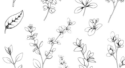 Obraz premium Plants hand-drawn set with delicate lines and intricate details featuring botanical, nature, leaves with flowers and