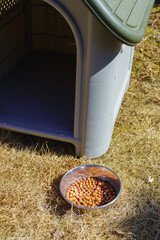 庭の犬小屋とドッグフード