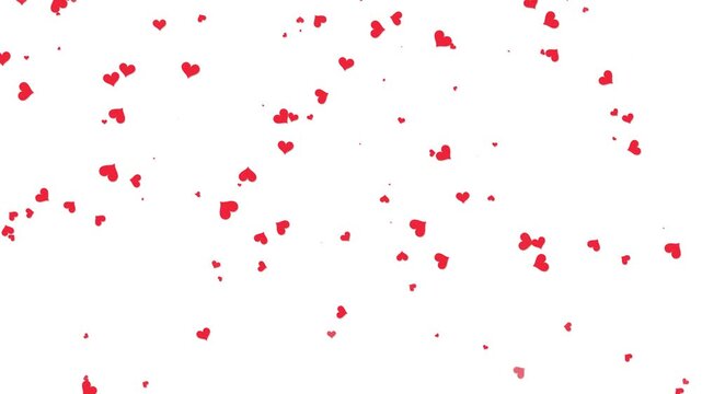 Loopable red heart particles falling down on white background. heart romantic valentine love overlay social media motion design for stock video 4k.