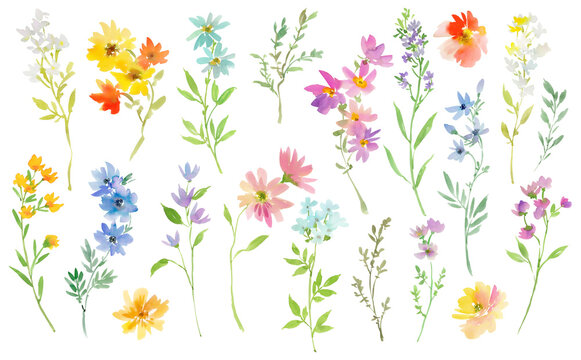 Watercolor abstract floral clipart set with hand painted elegant wild flowers on a transparent background for stationary, surface design and wedding invitation. Botanical illustrations. 