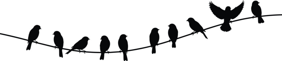 Birds sitting on wire silhouette collection with flying bird landing on cable, black bird flock perched on line vector illustration © MdRazaul