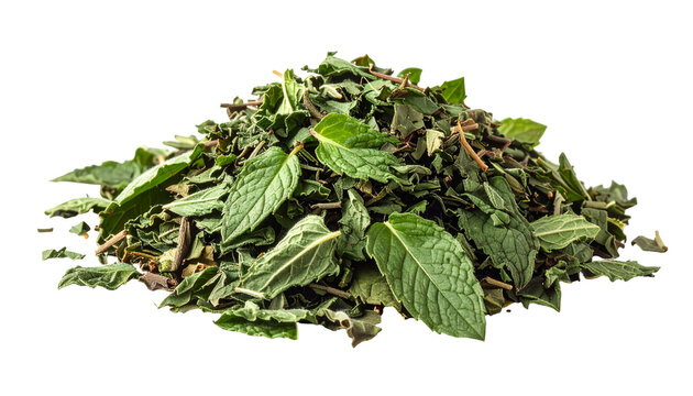Dried spearmint leaves pile on transparent background for herbal tea ingredient aromatic herb flavoring additive